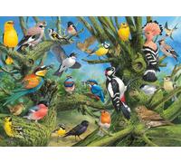 EUROGRAPHICS puzzle Uccelli in giardino - 1000 pezzi