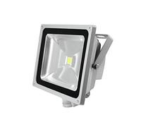 Eurolite 51914582 IP FL-50 COB LED FARETTO (6400 K)