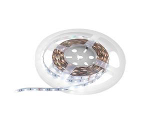 EUROLITE LED Strip 300 5m 3528 5700K 12V - Striscia LED Flessibile Ad Alta Resa