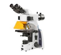Euromex Microscopio iScope IS.3153-PLi/TB, trino, HF, FL, INFINITY, plan, 40x-1000x, 10x/22 mm, iCare, 3 W, LED