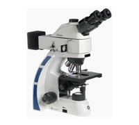 Euromex Microscopio OX.3240, binoculare