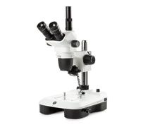 Euromex Microscopio stereo zoom NZ.1703-M, 6.5-55x, Colonna, Luce trasmessa e trasmessa, trino, Specchio per campo scuro, Embriologia