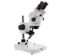 Euromex StereoBlue SB.1902-P, Zoom, colonna, binoculare, 0,7x-4,5x