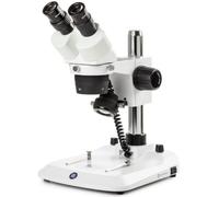 Euromex Stereomikroskop SB.1302-P StereoBlue 1/3 Bino