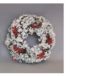 Euronatale Corona PVC 30cm NEVATA C/Bacche E LUCI##, Come Foto, Unica