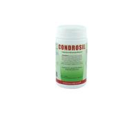 Euronatur Group CONDROSIL 60 CAPSULE