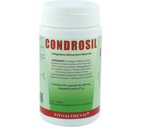euronatur group srl Condrosil 60 capsule