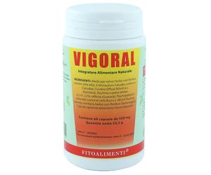 Euronatur Group VIGORAL 60 CAPSULE