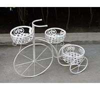 Euronovità EN-222203 Bicicletta porta piante con tre porta vaso H56 X 70 X 26 Cm