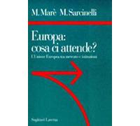 Europa: cosa ci attende? L'unione europea tra mercato e istituzioni