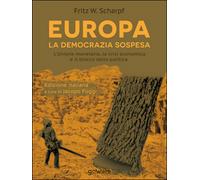 Europa. La democrazia sospesa. L’unione monetaria, la crisi economica