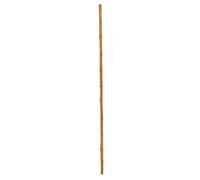 Europalms 83313200 Tubo in bambù, Diametro 3 cm, Lunghezza 200 cm