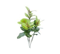 EUROPALMS Albero di Gomma Artificiale 100cm - Pianta Decorativa Realistica