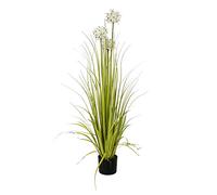 EUROPALMS Alliumgras - Pianta artificiale, 120 cm, colore: Bianco