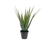 EUROPALMS Aloe Vera Artificiale 60 cm - Pianta Decorativa per Esterni
