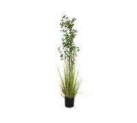EUROPALMS Arbusto Artificiale Sempreverde con Erba, 182cm - Pianta Decorativa Re