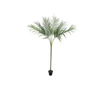 EUROPALMS Areca Deluxe - Palma Artificiale 180cm per Interni ed Esterni | Montag