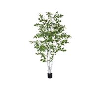 EUROPALMS Betulla Artificiale 210 cm - Decorazione Versatile con Foglie Realisti