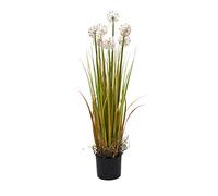 Europalms Dente di Leone, 107cm
