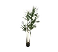 EUROPALMS Dracaena Artificiale Verde 170cm - Elegante Pianta da Interno