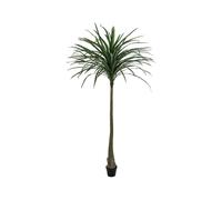 EUROPALMS Dracena Artificiale Verde 220cm - Effetto Realistico e Design Moderno