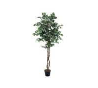 EUROPALMS Fico d'Argento Beniamino 180 cm - Pianta Artificiale Realistica con Tr