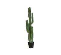 Europalms Messicano Cactus, Pianta Artificiale, Verde, 123 cm