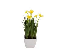 EUROPALMS Narciso, pianta artificiale, 23 cm | Bella fioritura primaverile