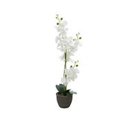 EUROPALMS Orchidea Bianca Artificiale 80 cm con Vaso Decorativo Effetto Pietra