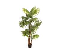 EUROPALMS Palma a Ventaglio Artificiale 165 cm con Effetto Realistico e Uso Este
