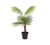 Europalms Palma artificiale, 88 cm, palma a ventaglio con grandi alette in plastica