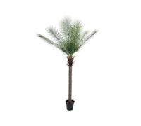 EUROPALMS Palma delle Canarie Deluxe 220 cm - Pianta Artificiale per Esterni