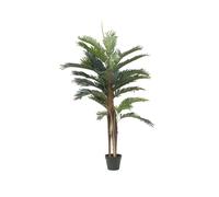 EUROPALMS Palma di Kentia Artificiale 120 cm con Tronco Naturale e Fronda in Tes
