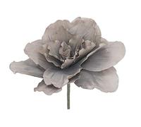 Europalms pianta Artificiale Fiore Gigante Eva, Beige, Grigio, 80cm