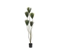 EUROPALMS Piante verde 130 cm