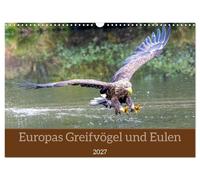 Europas Greifvögel und Eulen (Wandkalender 2027 DIN A3 quer), CALVENDO Monatskal