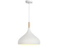 European Style Pendant E27 Holder Hanging Lights, Metal Chandelier Lamp Shades, Suspension Lantern Fixtures for Restaurant Bar Cafe Dining Room(White,12.6in)