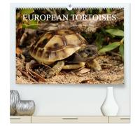 European Tortoises / UK-Version (High Quality Premium Wall Calendar 2027 DIN A2 landscape),CALVENDO 12 Month Wall Calendar: The pictures in that ... of southern Europe in their habitats