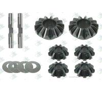 Euroricambi 60171497 Kit riparazione, Differenziale