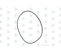 Euroricambi 60531397 Guarnizione, Coperchio carter distribuzione