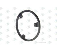 Anello sincronizzatore, cambio manuale EURORICAMBI 60531711