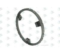 Anello sincronizzatore, cambio manuale EURORICAMBI 60531765