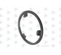 Euroricambi 60532242 Anello sincronizzatore, Cambio manuale