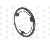 Anello sincronizzatore EURORICAMBI 60532370