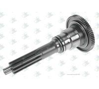 Euroricambi 60532682 Albero primario, Cambio manuale