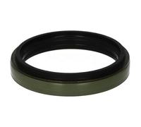 Paraolio, cambio manuale EURORICAMBI 74530630