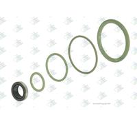 Euroricambi 74530683 Kit riparazione, Cambio manuale