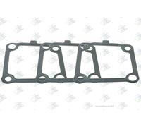 Euroricambi 74531132 Guarnizione, Cambio manuale