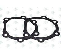 Euroricambi 88530843 Guarnizione, Cambio manuale