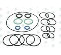 Euroricambi 88530936 Kit guarnizioni, Cambio manuale